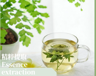 专业团队在现代化办公环境中工作，配备电脑和农业技术图表的墙壁，显示多样化专家协作场景